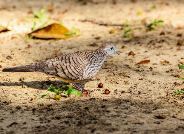 20161009-2016-10-09IMG_7077