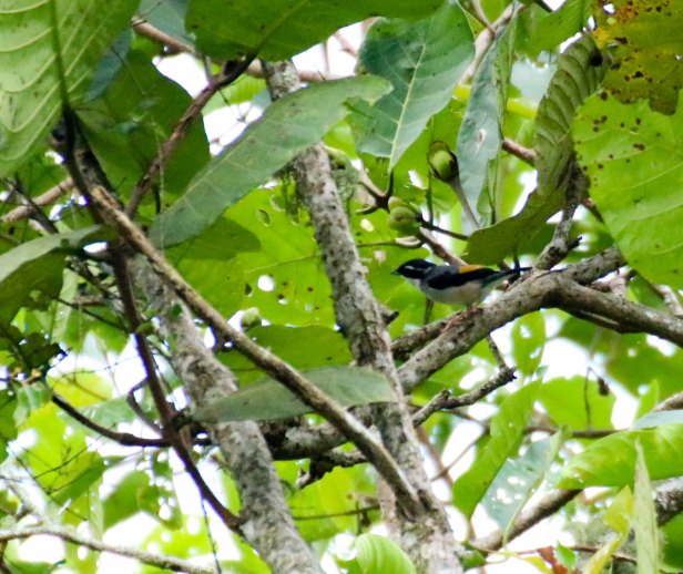 20170626-IMG_2523 (1)