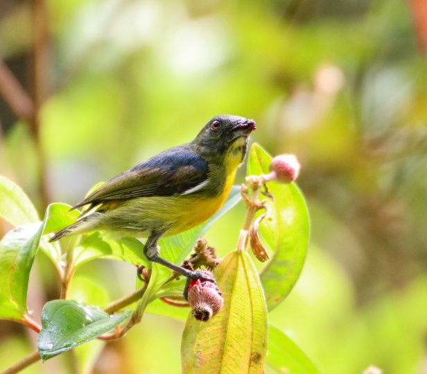 20170627-IMG_2866 (1)