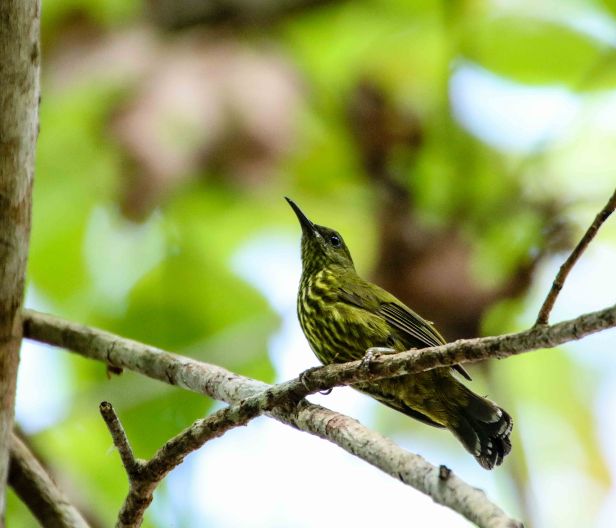 20170628-IMG_3840 (1)