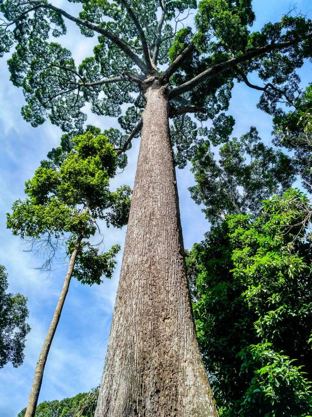 IMG_20170628_093049_HDR