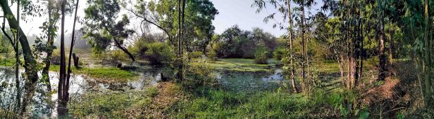 PANO_20171210_083047